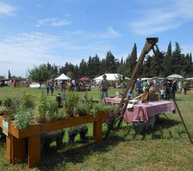 Festival della Natura