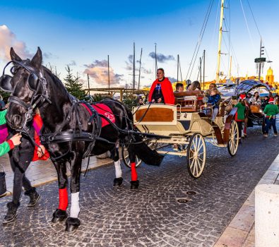 Il giro in carrozza